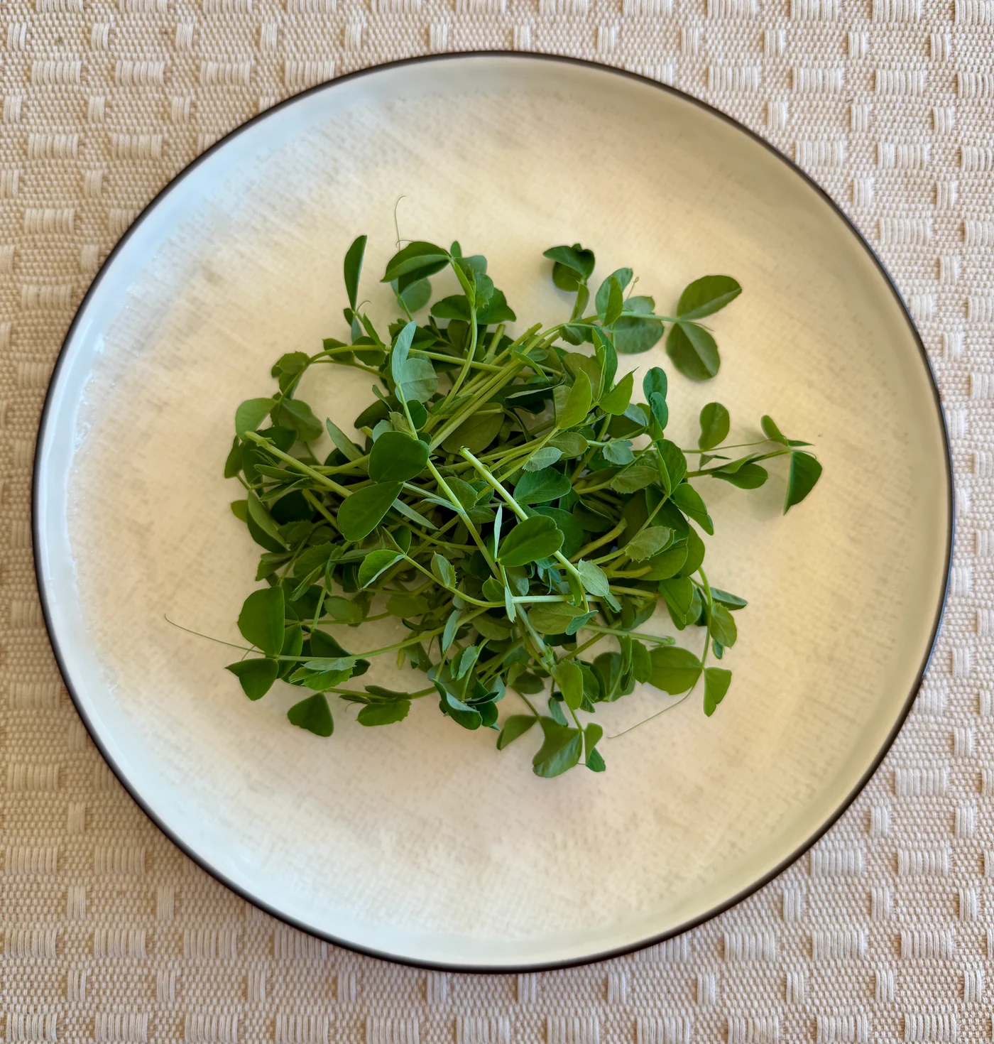 Fresh pea shoots with tender leaves and curling tendrils on a cream-colored plate