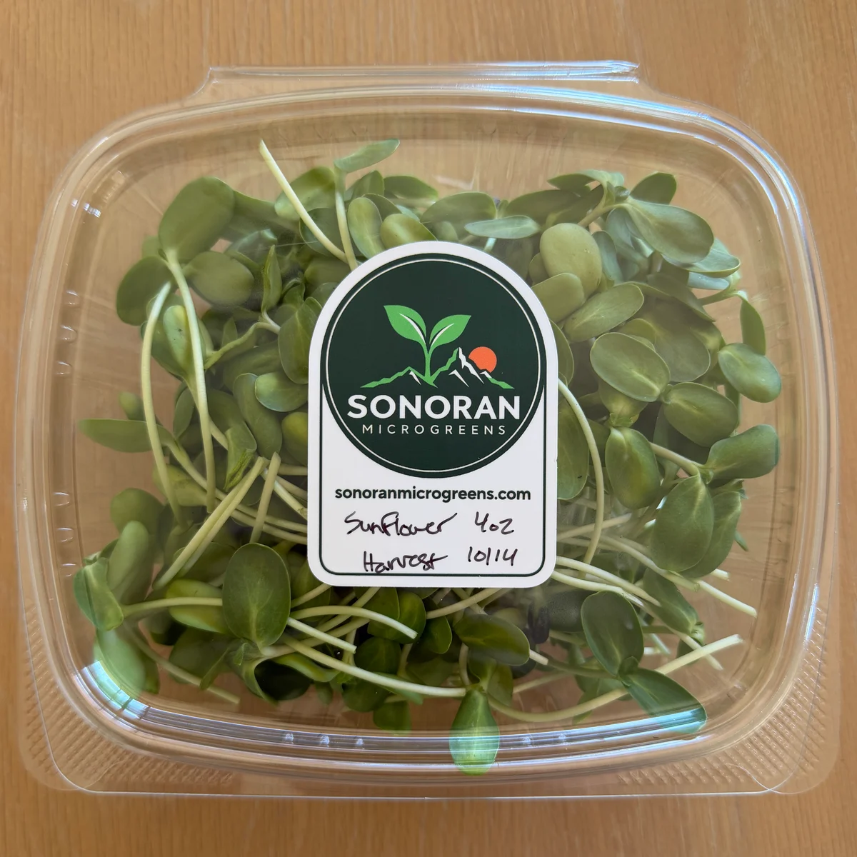 Fresh sunflower shoots in a labeled four-ounce container
